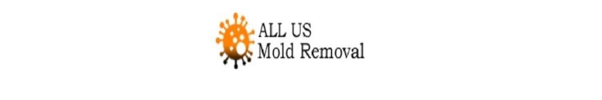 ALL US Mold Removal & Remediation - Frisco TX