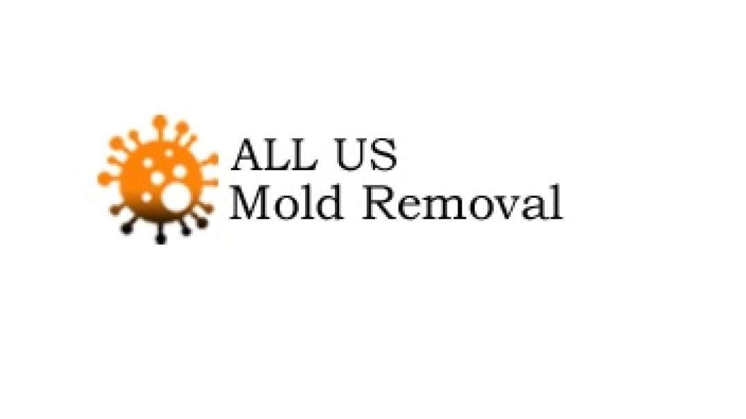 ALL US Mold Removal in Frisco TX